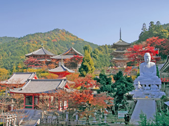 06壺阪山　南法華寺