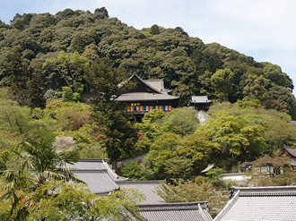 08豊山 神楽院 長谷寺