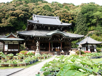 10明星山 三室戸寺