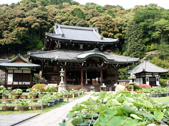 10明星山　三室戸寺