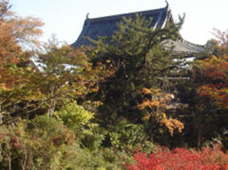 20西山 善峯寺